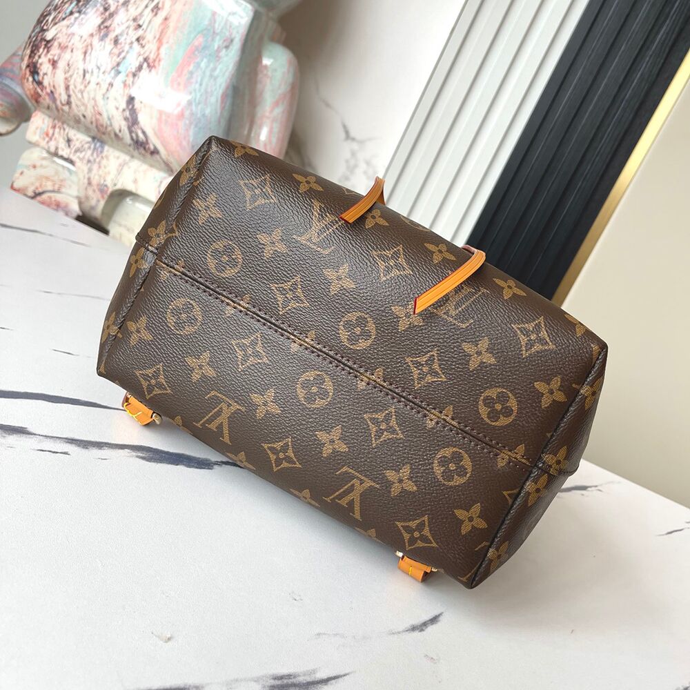 Louis Vuitton LV Montsouris PM LVB-034